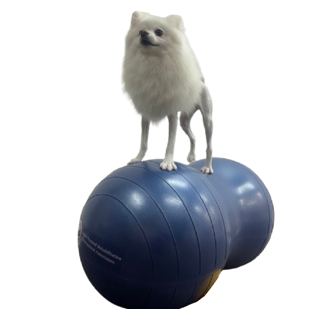 新着商品!「ピーナッツボールプラス」