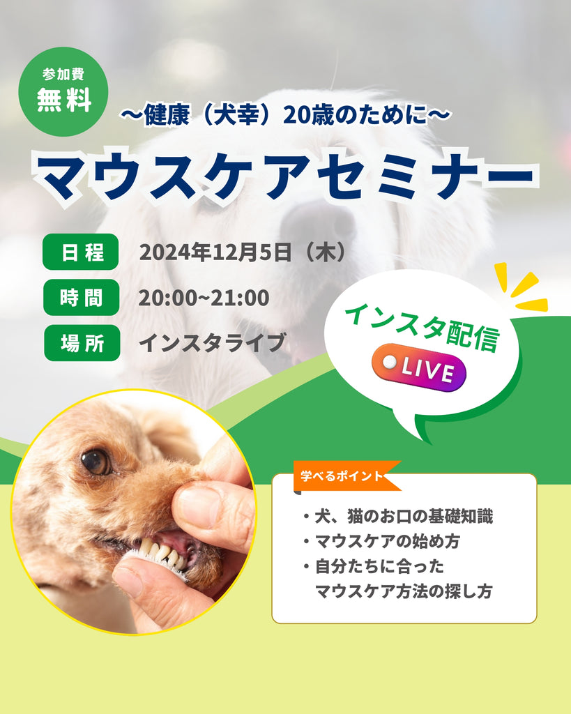 【インスタLIVE】マウスケアセミナー開催!12/5(木)