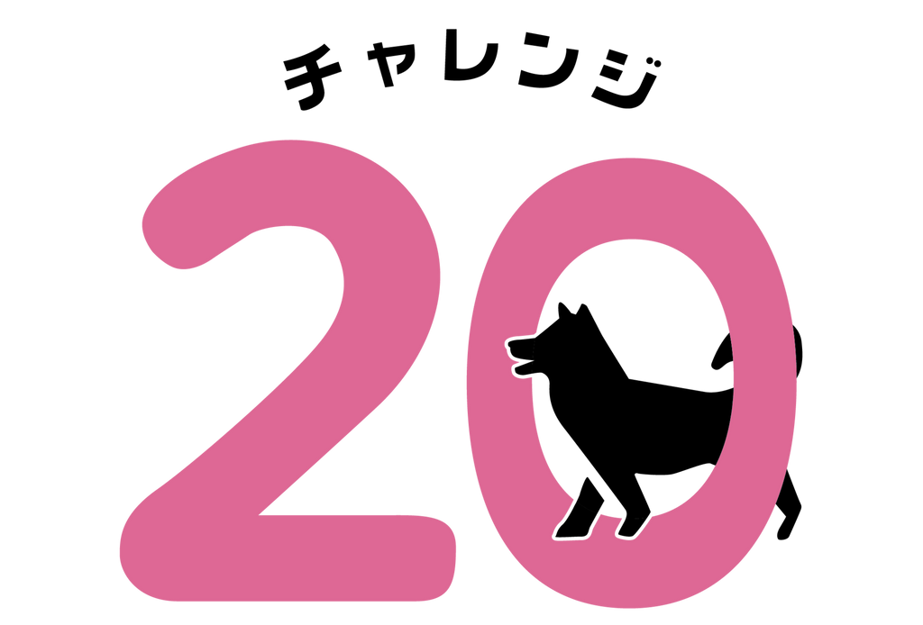 【チャレンジ20】とは?