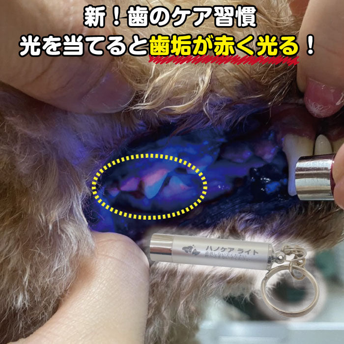 ハノケア チェックライト 歯垢が赤く光る特殊ライト