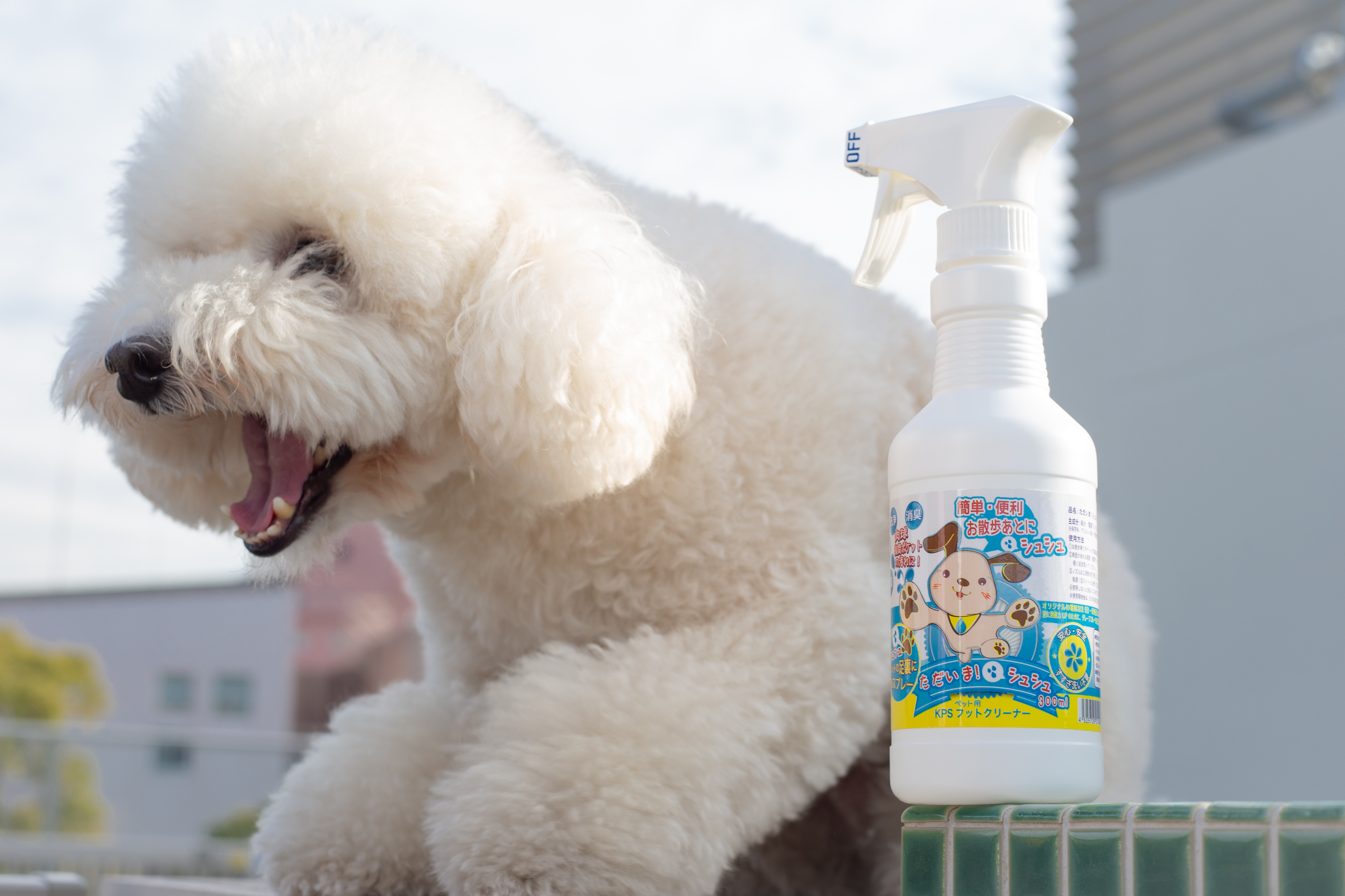ただいま!シュシュ300ml