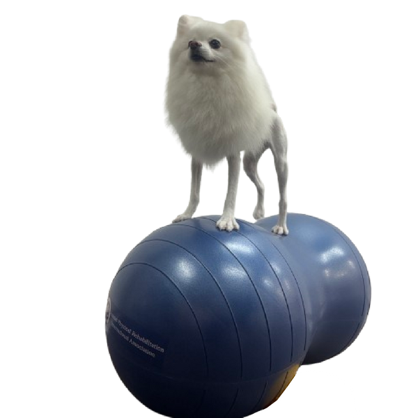 獣医師推奨】アプリア ピーナッツボールプラス – kps_online_shop