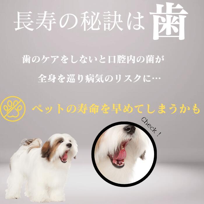 【50%OFF 数量限定】KPSキャットマウスクリーナー 118ml、237ml(旧パッケージ アウトレット パッケージ変更の為)