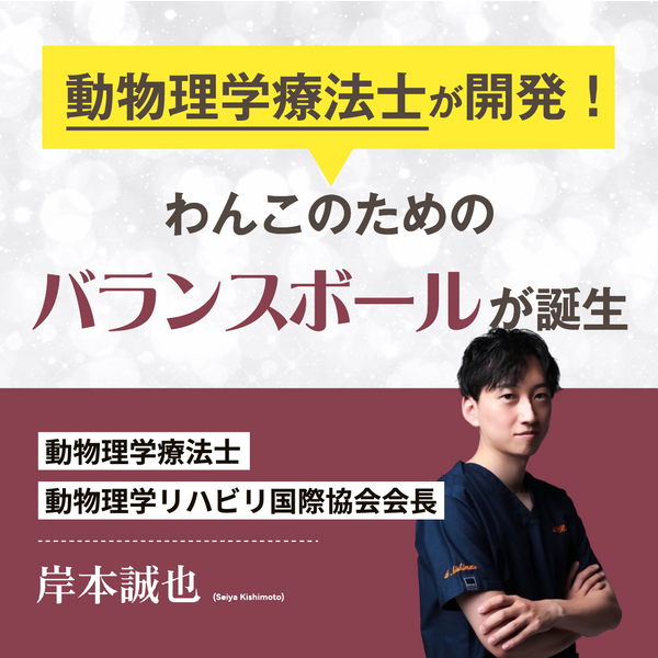 獣医師推奨】アプリア ピーナッツボールプラス – kps_online_shop