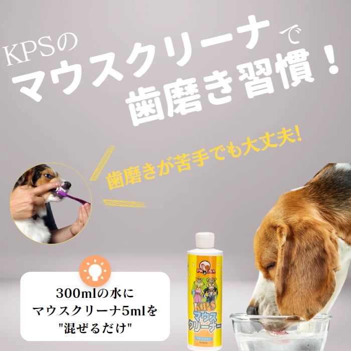 【50%OFF 数量限定】KPSキャットマウスクリーナー 118ml、237ml(旧パッケージ アウトレット パッケージ変更の為)