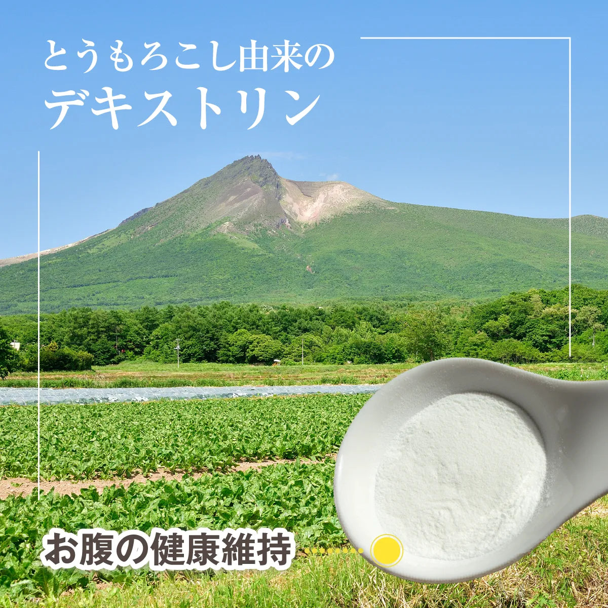 ハノケア マウスクリーナー ふりかけ 30g