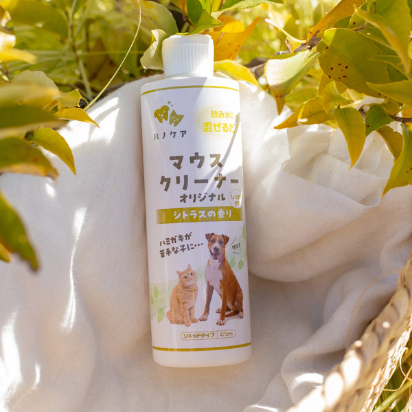 ハノケア マウスクリーナー オリジナル 118/237/473ml (旧KPSマウス ハノケア マウスクリーナー オリジナル 118/237/473ml (旧KPSマウス