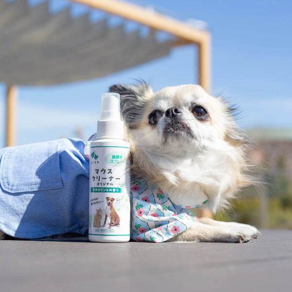 DD0Q5123_grande.webp?v=1714482378