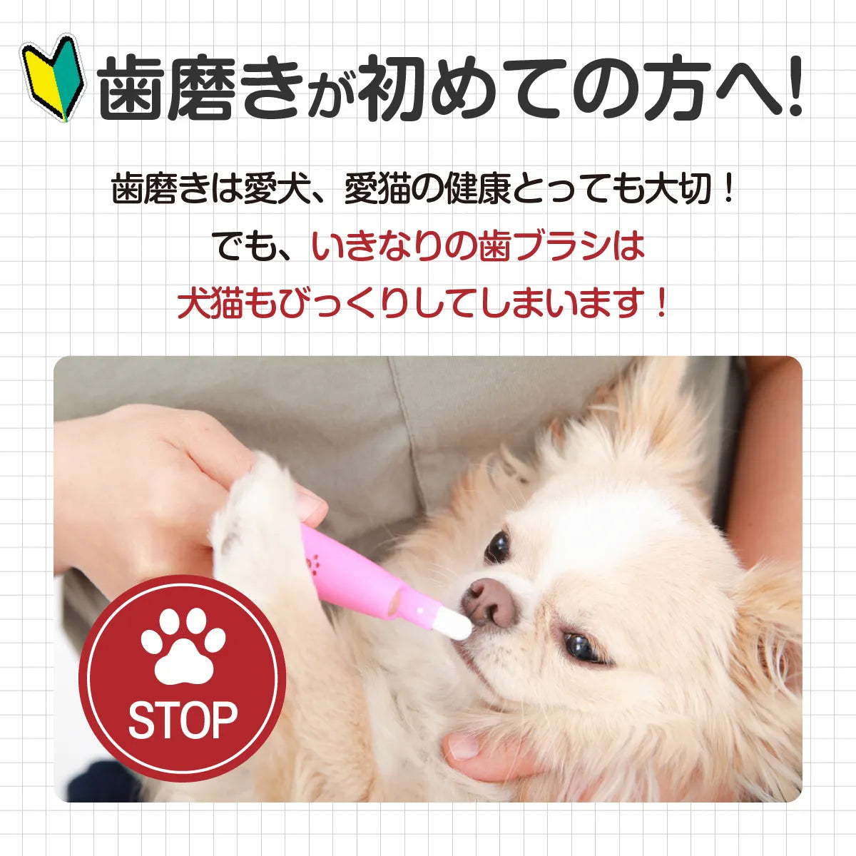 360度歯ブラシ 歯垢泥棒 S/L