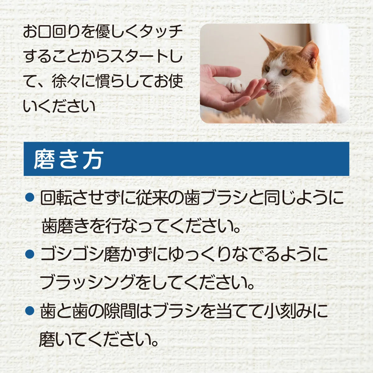 360度歯ブラシ 歯垢泥棒 S/L