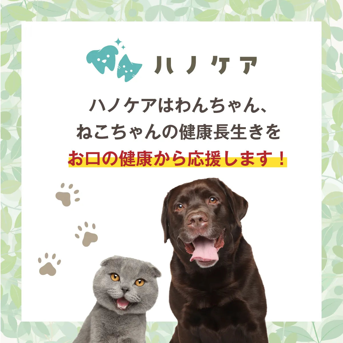 360度歯ブラシ 歯垢泥棒 S/L