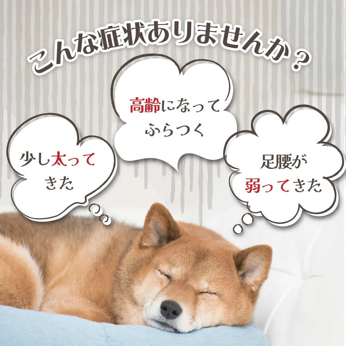 ALKO bits(アルコビッツ)28個入 40g