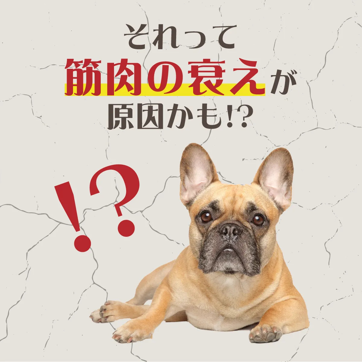 ALKO bits(アルコビッツ)28個入 40g