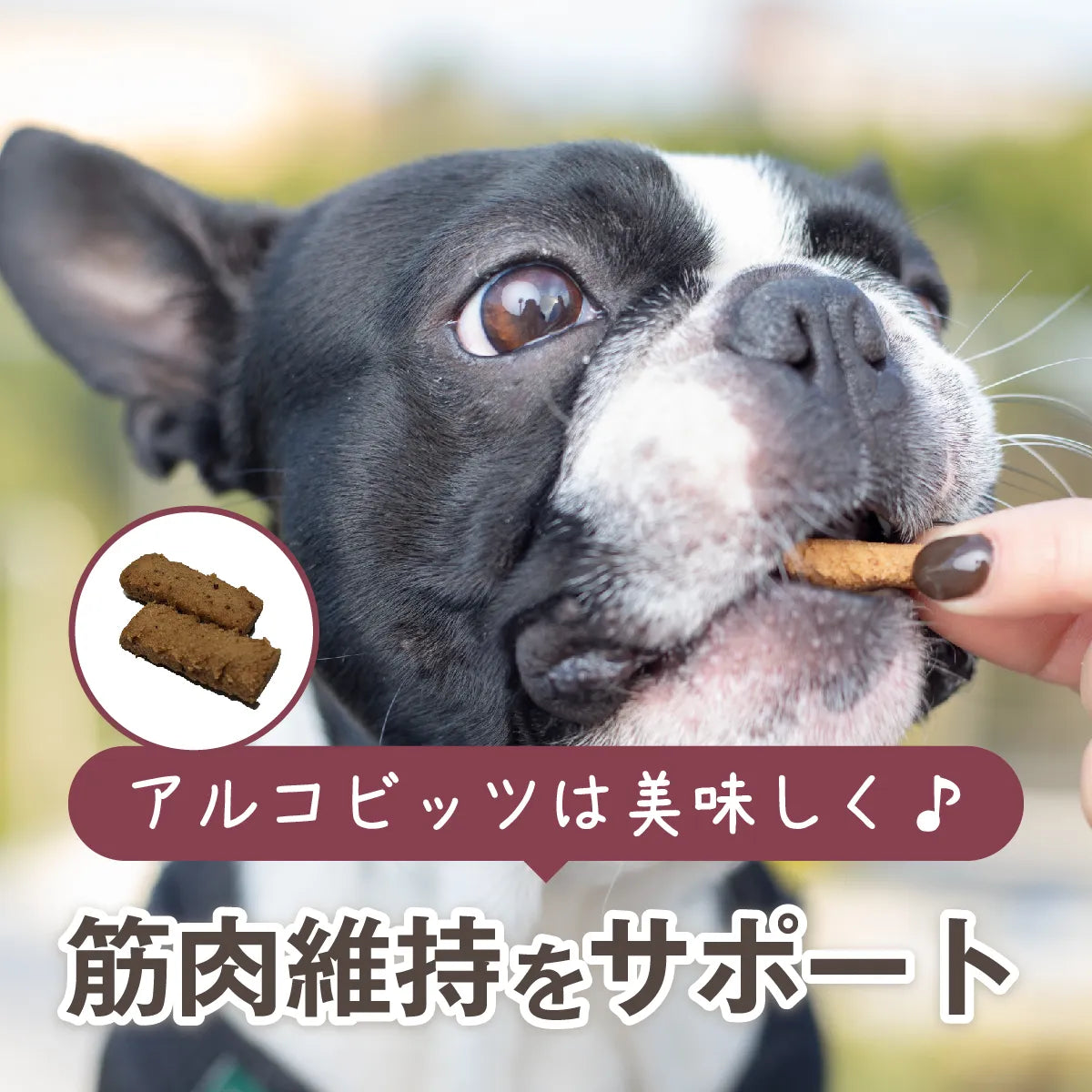 ALKO bits(アルコビッツ)28個入 40g