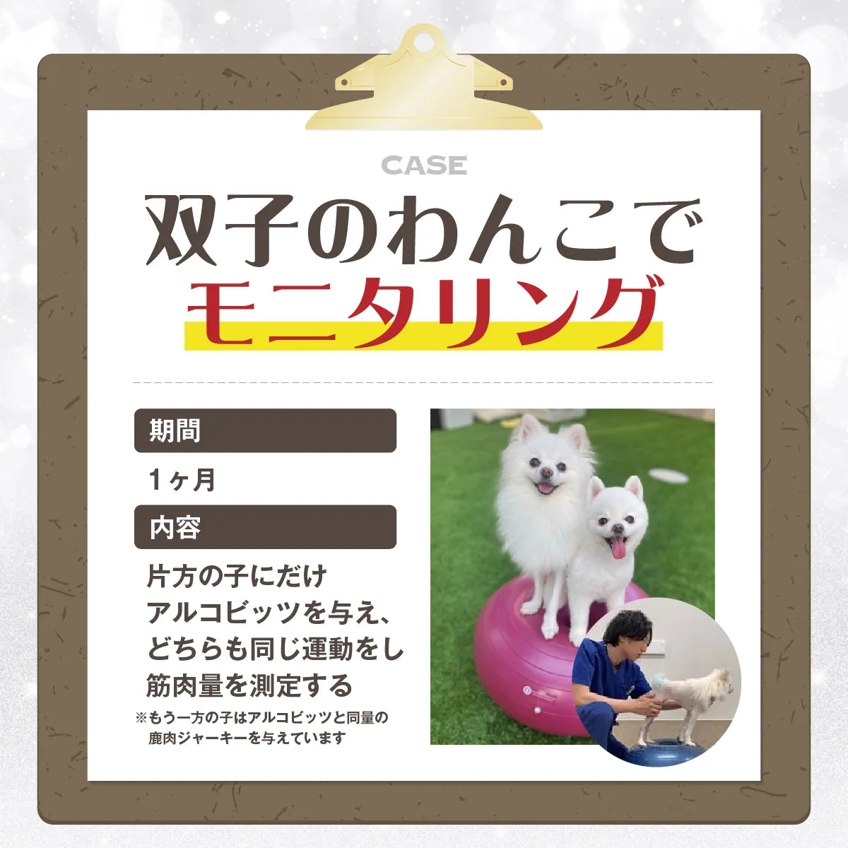 ALKO bits(アルコビッツ)28個入 40g