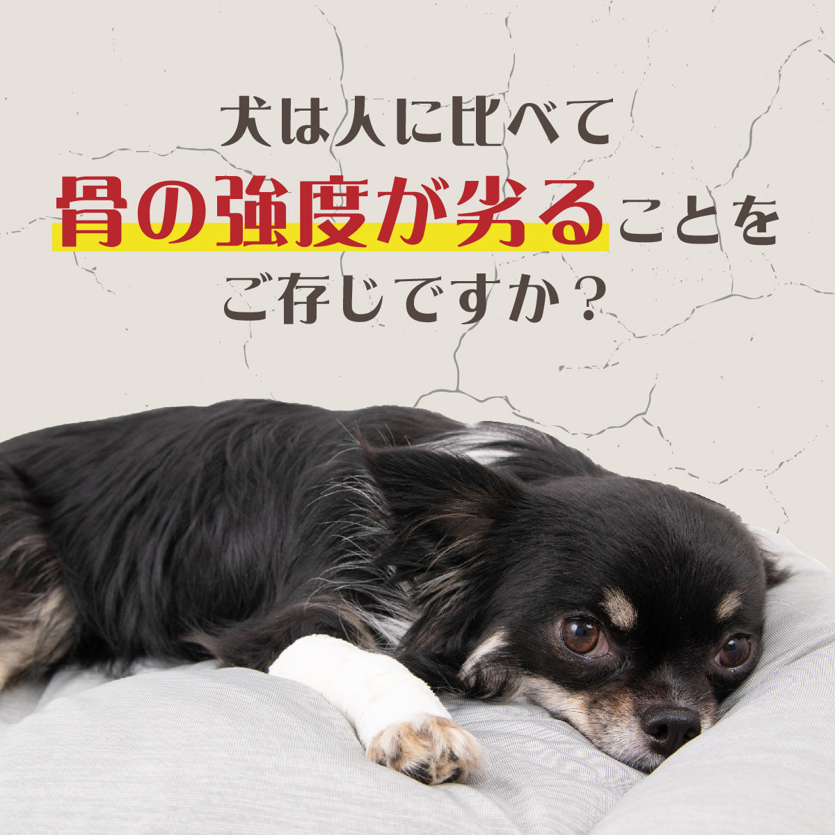 無重力マット