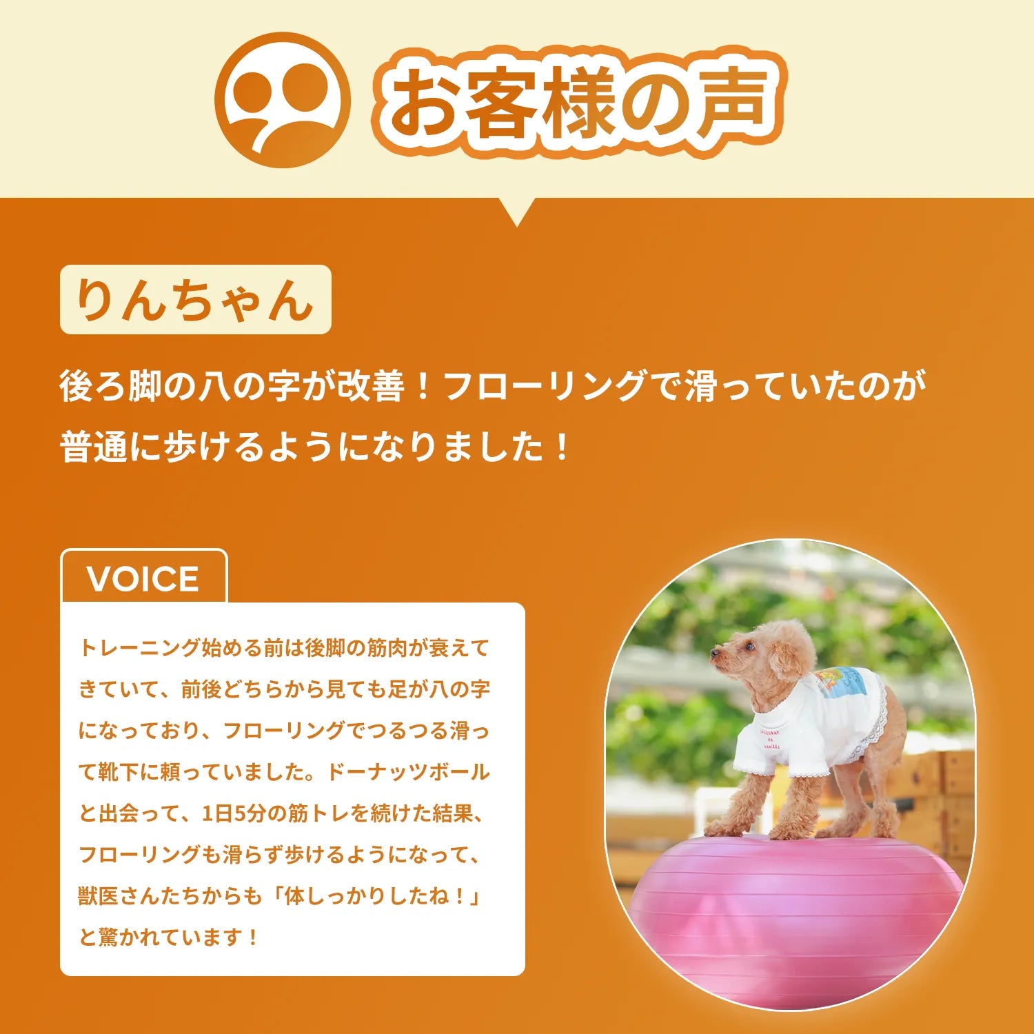 アプリア ドーナッツボールプラス【公式限定アルコビッツ プレゼント（1980円相当）】