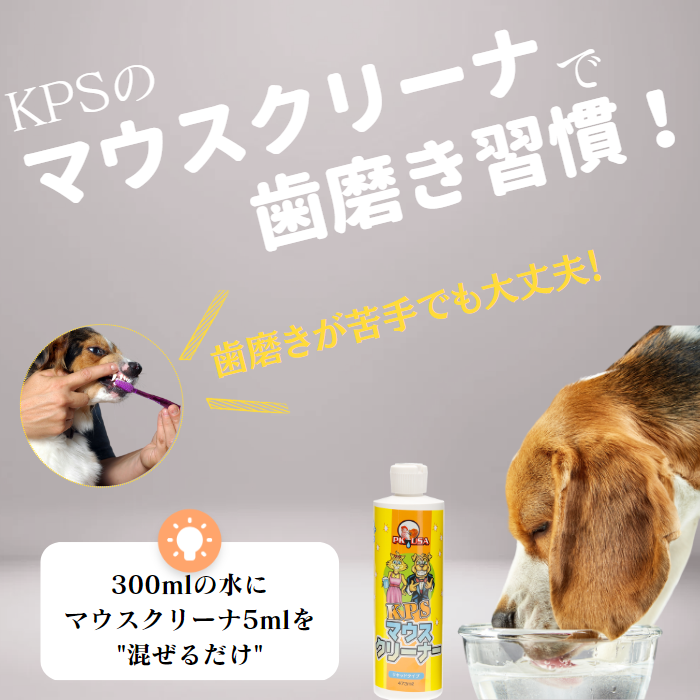 【50％OFF 数量限定】KPSマウスクリーナー118ml （旧パッケージ　アウトレット　パッケージ変更の為）