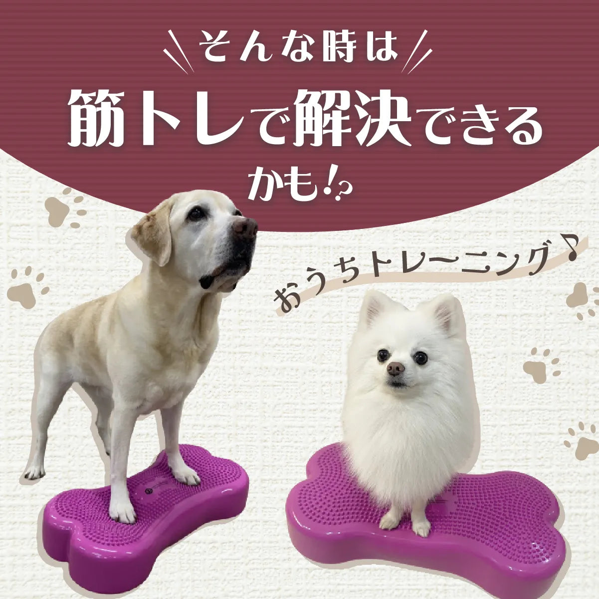 獣医師推奨】アプリア バランスボーン – kps_online_shop 獣医師推奨】アプリア バランスボーン – kps_online_shop