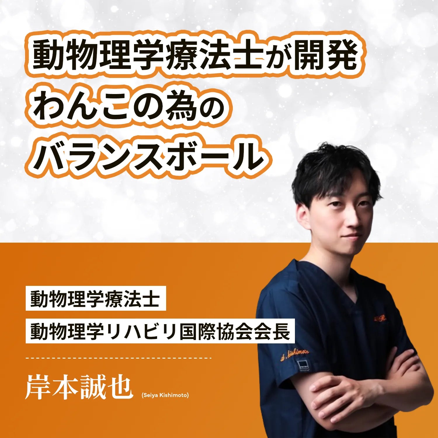 アプリア ドーナッツボールプラス【公式限定アルコビッツ プレゼント（1980円相当）】