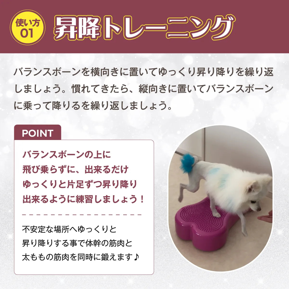 獣医師推奨】アプリア バランスボーン – kps_online_shop 獣医師推奨】アプリア バランスボーン – kps_online_shop