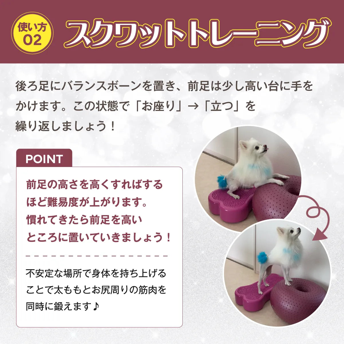 獣医師推奨】アプリア バランスボーン – kps_online_shop 獣医師推奨】アプリア バランスボーン – kps_online_shop