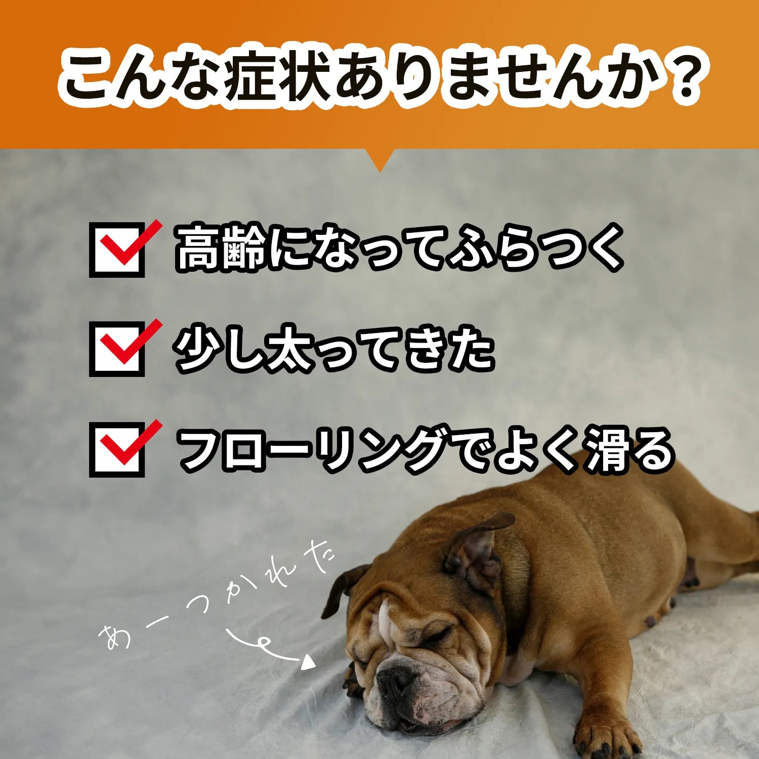 【筋トレセットC】ドーナッツボール＋バランスボーン　～公式限定～