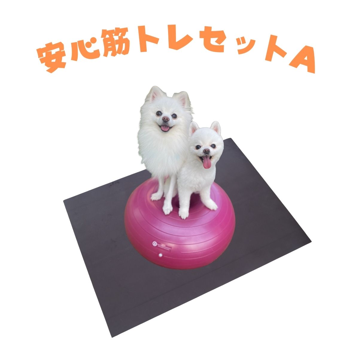 【安心筋トレセットA】ドーナッツボール＋無重力マット　～公式限定価格～