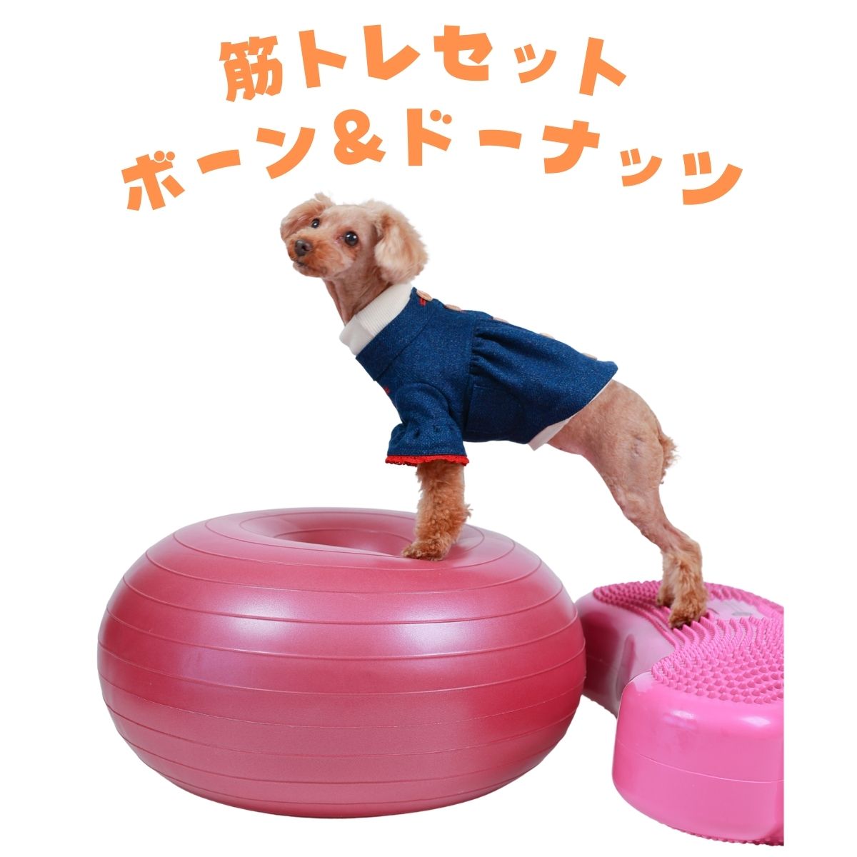 【筋トレセットC】ドーナッツボール＋バランスボーン　～公式限定～