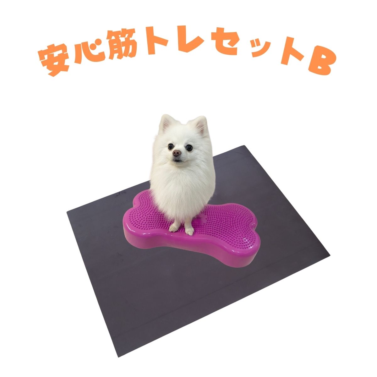 【安心筋トレセットB】バランスボーン＋無重力マット　～公式限定価格～