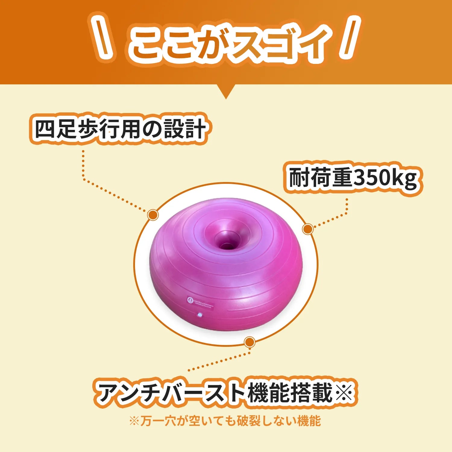 【筋トレセットC】ドーナッツボール＋バランスボーン　～公式限定～