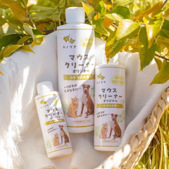 DD0Q4558_medium.webp?v=1714481798