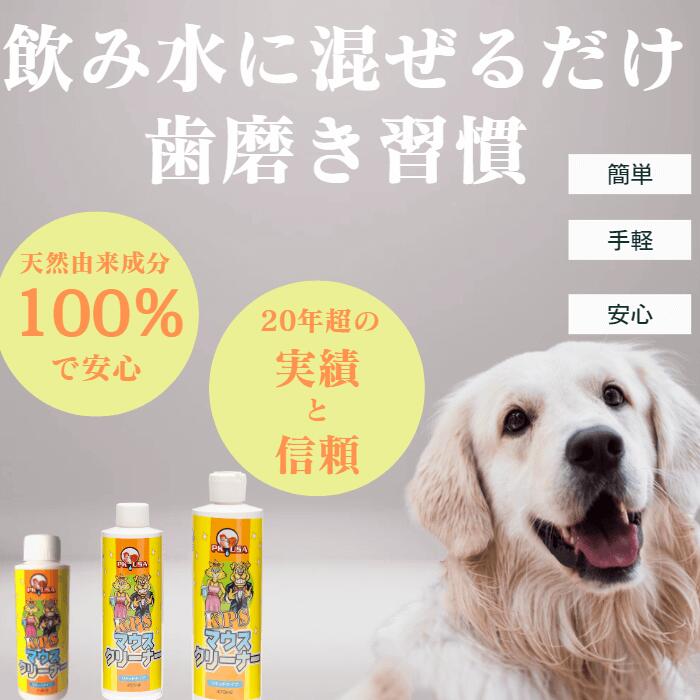 【50％OFF 数量限定】KPSマウスクリーナー118ml （旧パッケージ　アウトレット　パッケージ変更の為）