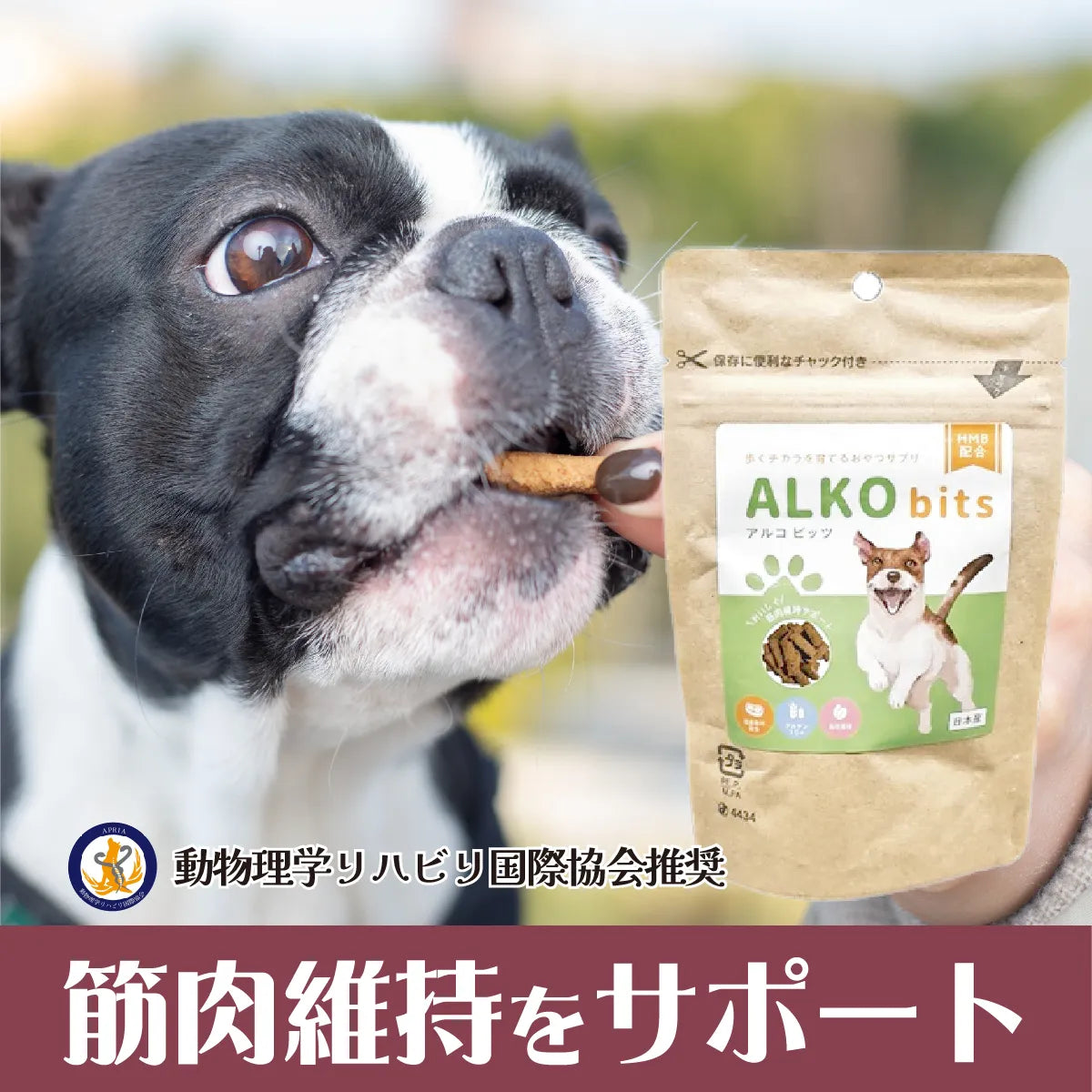 ALKO bits（アルコビッツ）28個入 40g