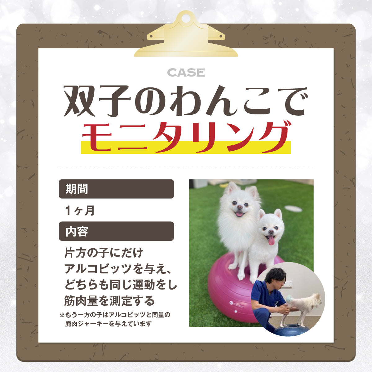 アプリア ドーナッツボールプラス【公式限定アルコビッツ プレゼント（1980円相当）】