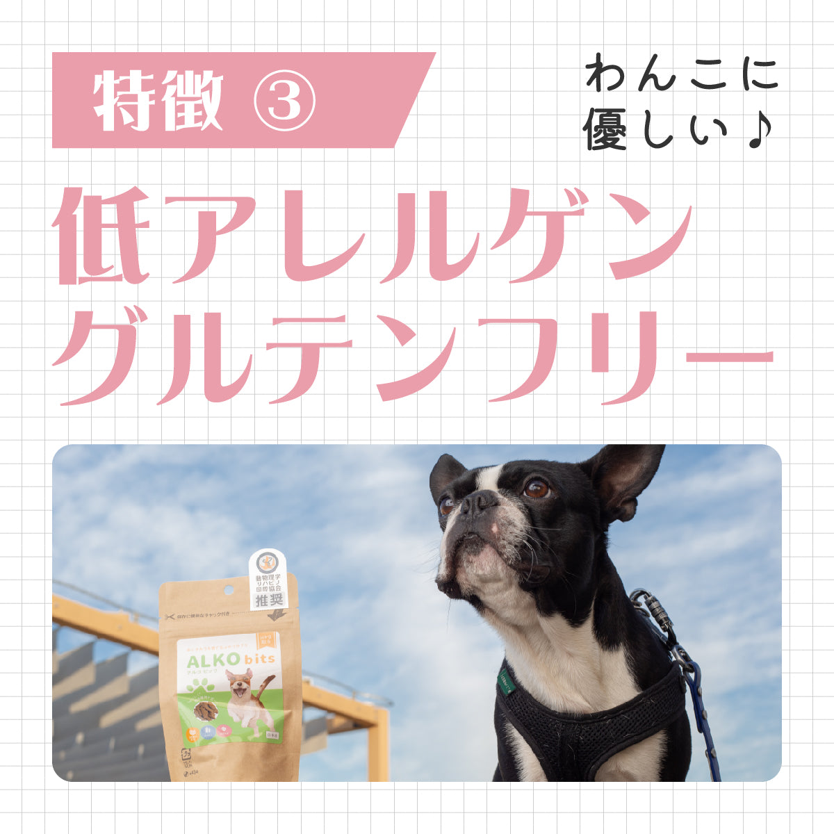 アプリア ドーナッツボールプラス【公式限定アルコビッツ プレゼント（1980円相当）】